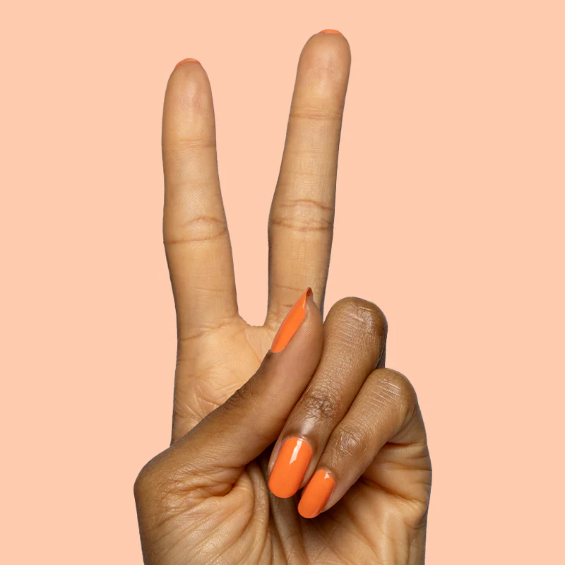 Bounce Back - Image 3