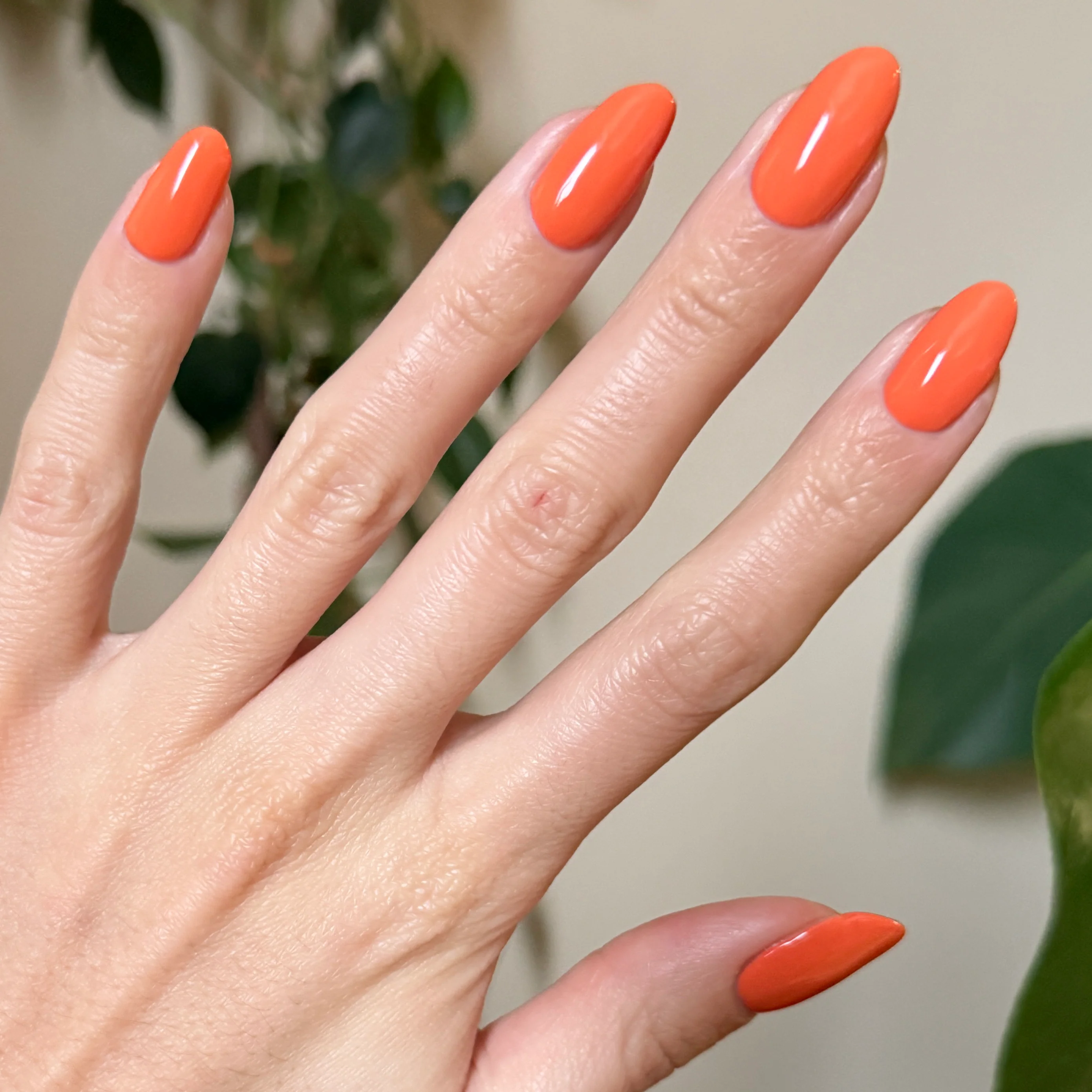 Bounce Back - Image 7
