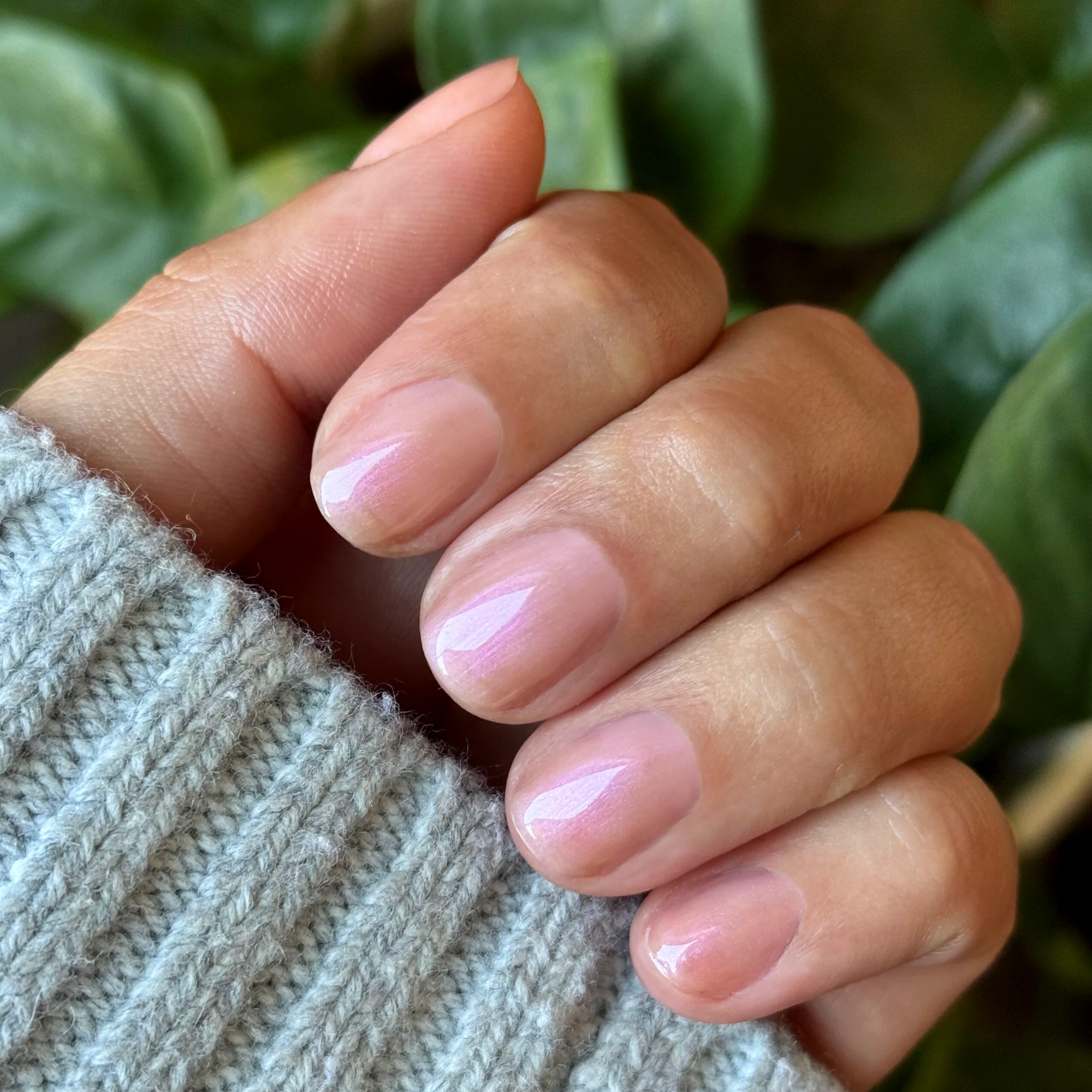 Champagne Chiffon - Builder Gel - Image 9