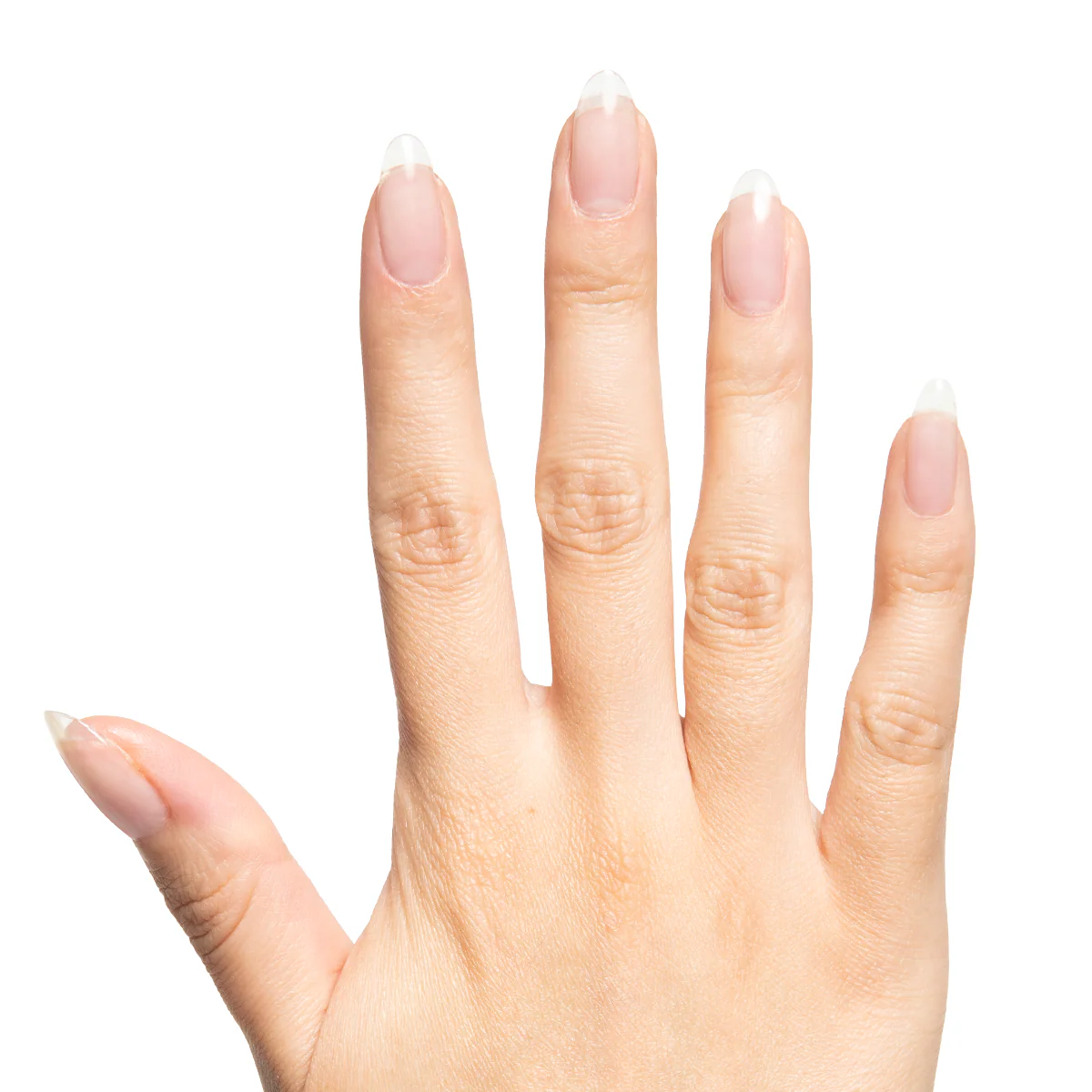 Clear - Builder Gel - Image 3