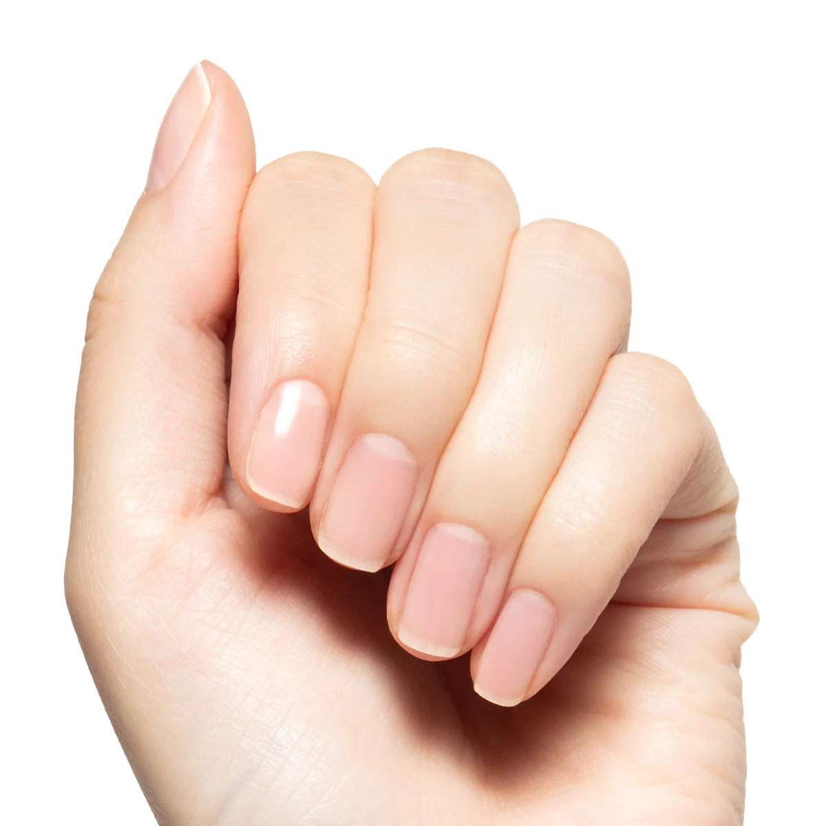 Clear - Builder Gel - Image 5