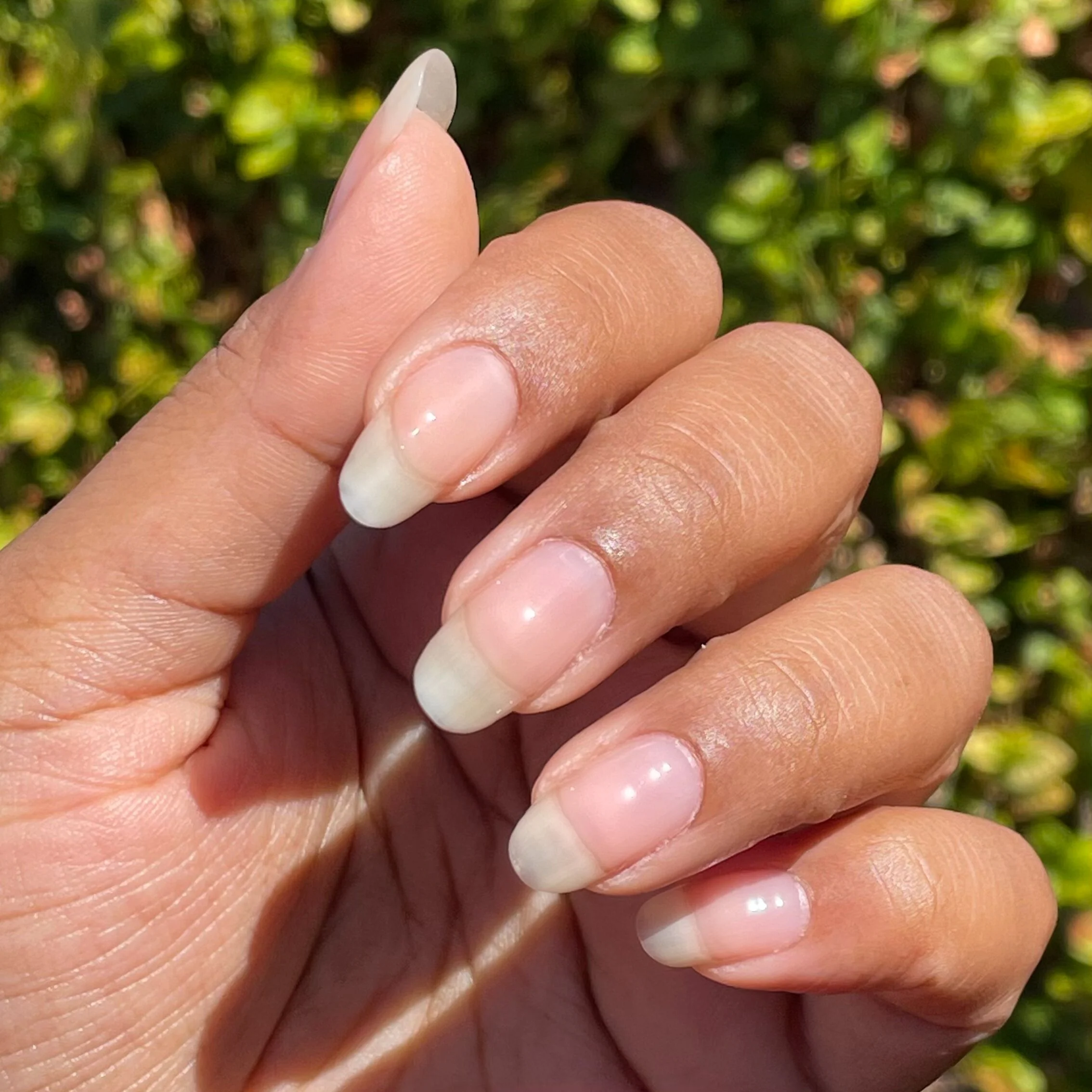 Clear - Builder Gel - Image 8