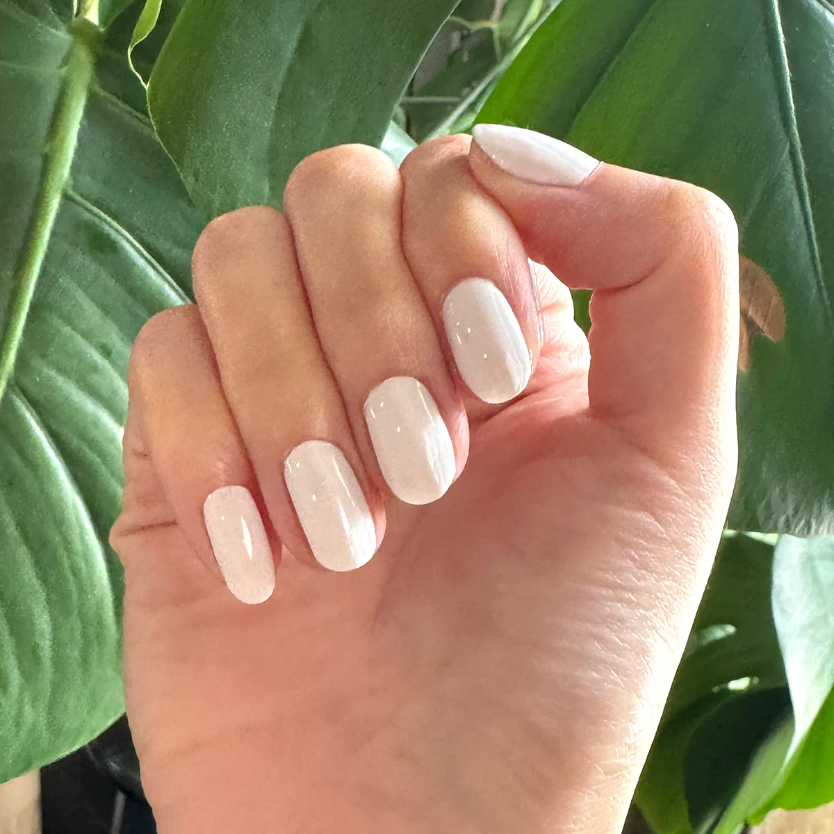 HD Gel Mani System - Image 5