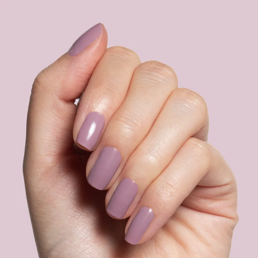 I Mani in Meetings - Image 4
