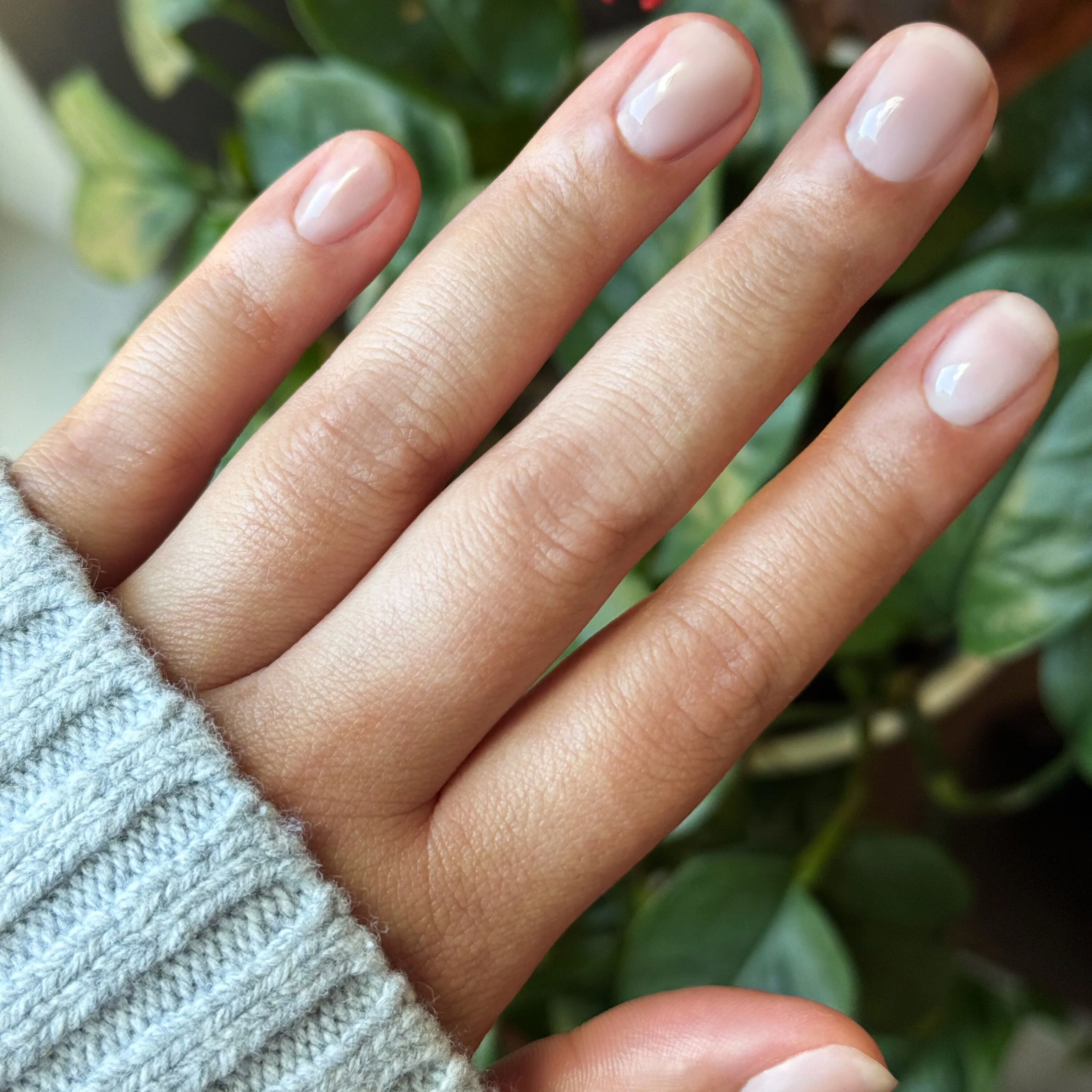 Lavender Frost - Builder Gel - Image 9