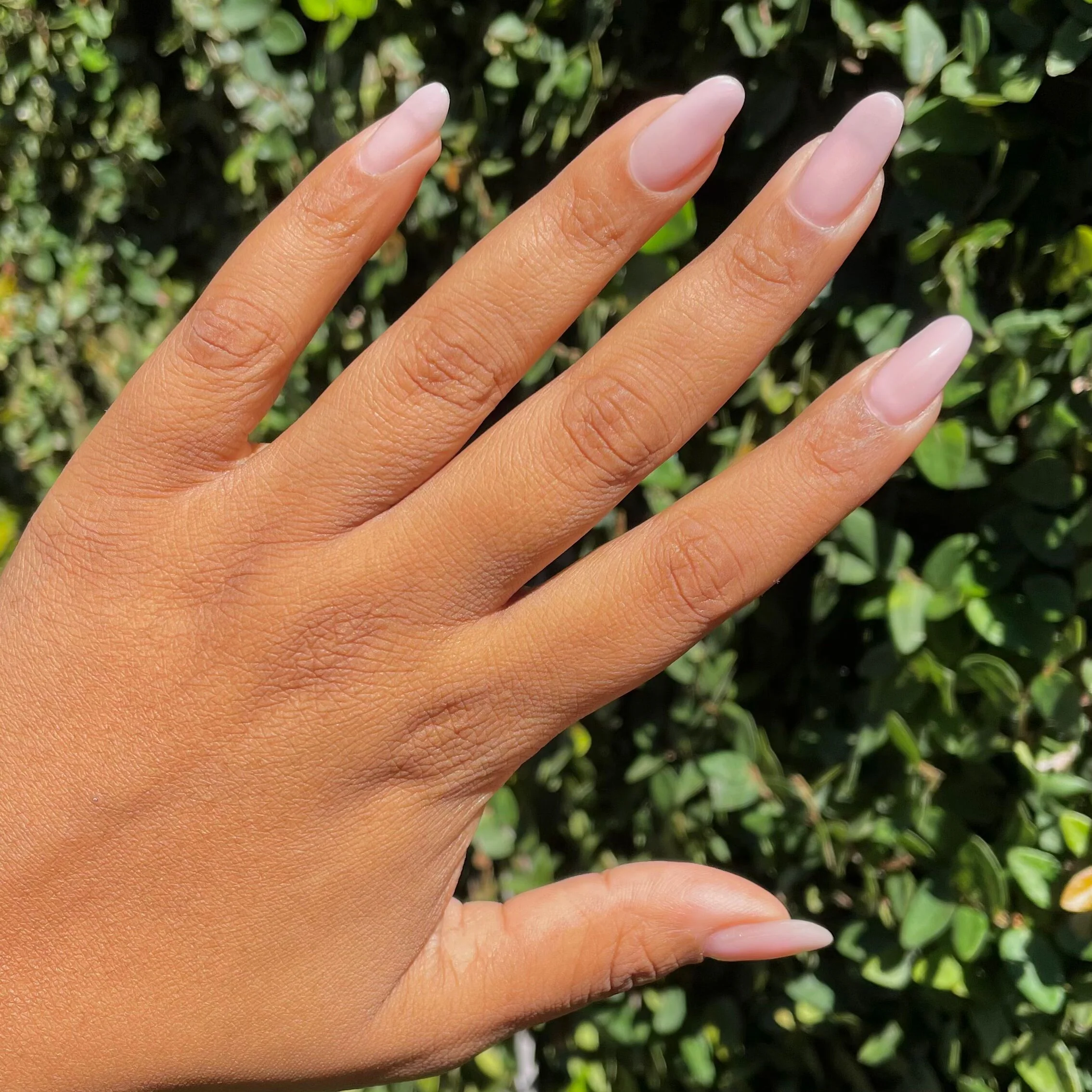 Lilac Luxe - Builder Gel - Image 8