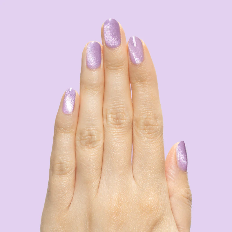Magnetic Gel Polish Set - Image 4