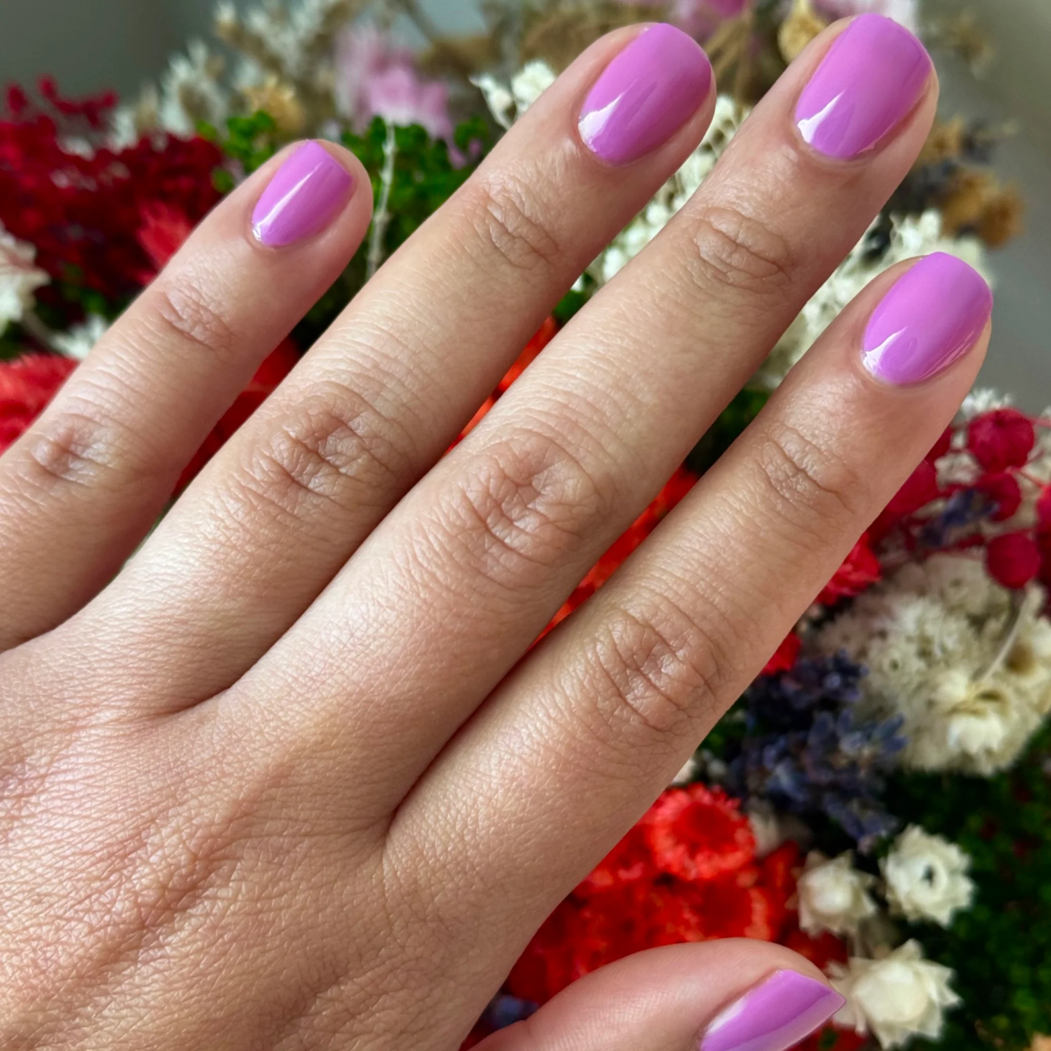 Petal - Image 10