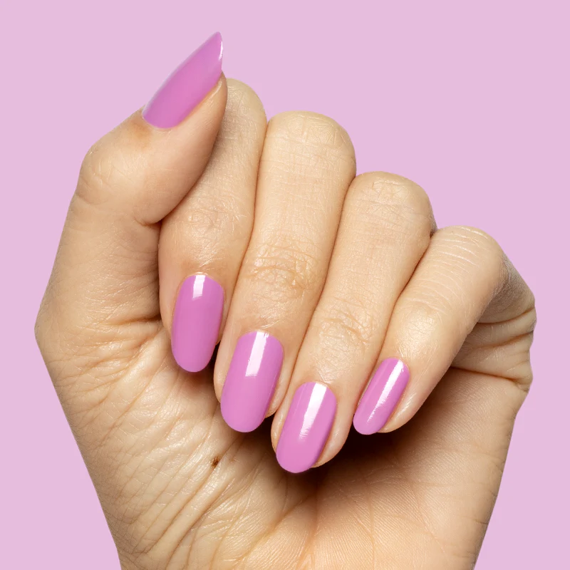 Petal - Image 4
