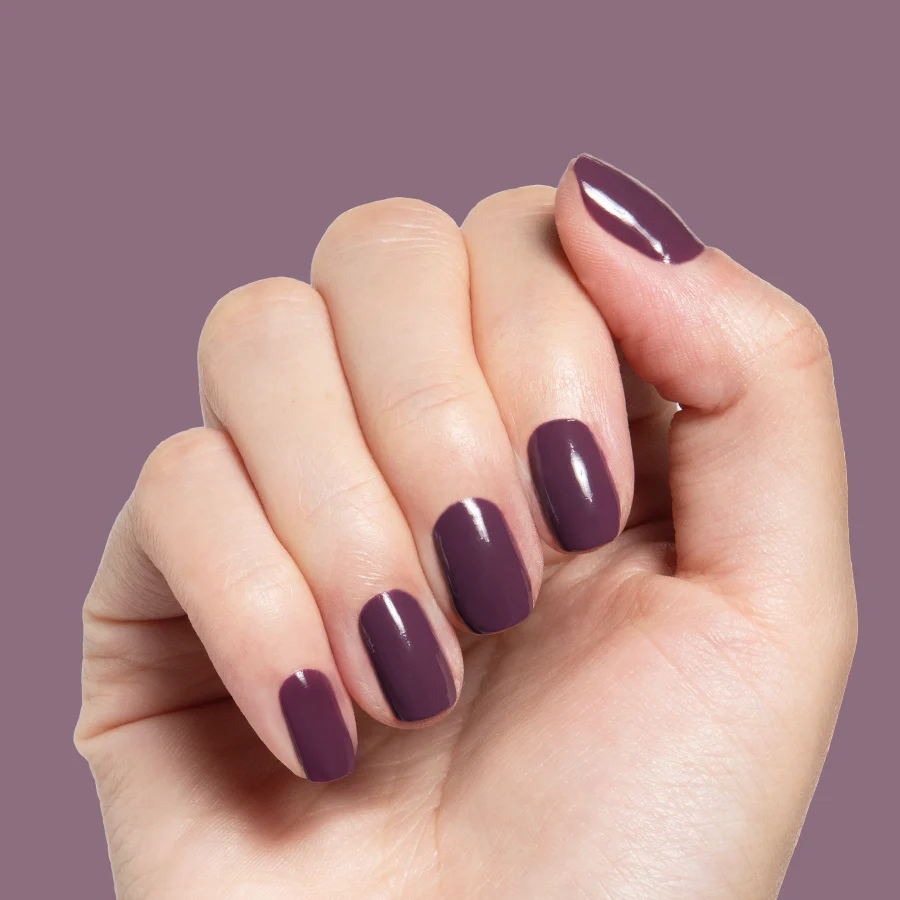 Plum - Image 3