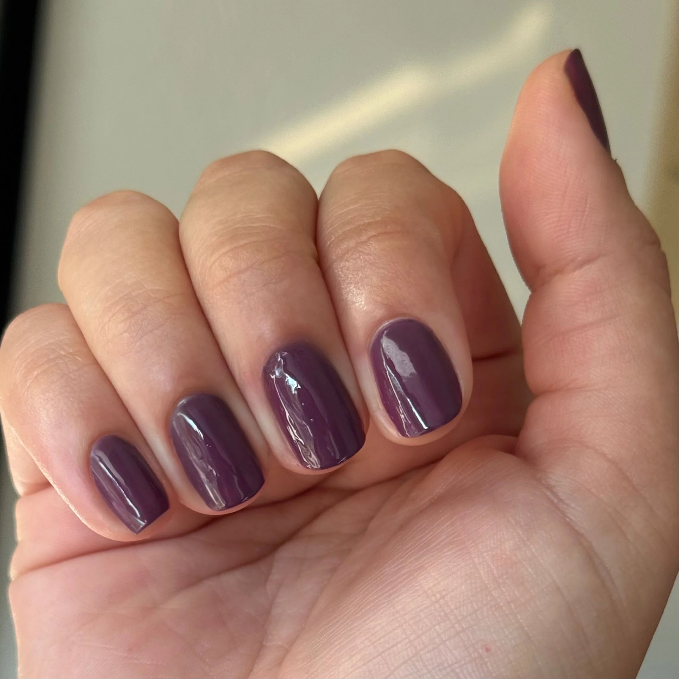 Plum - Image 6