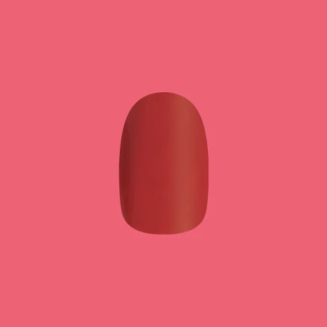 Roar - Tab Press-On | Extra Short | Round - Image 6
