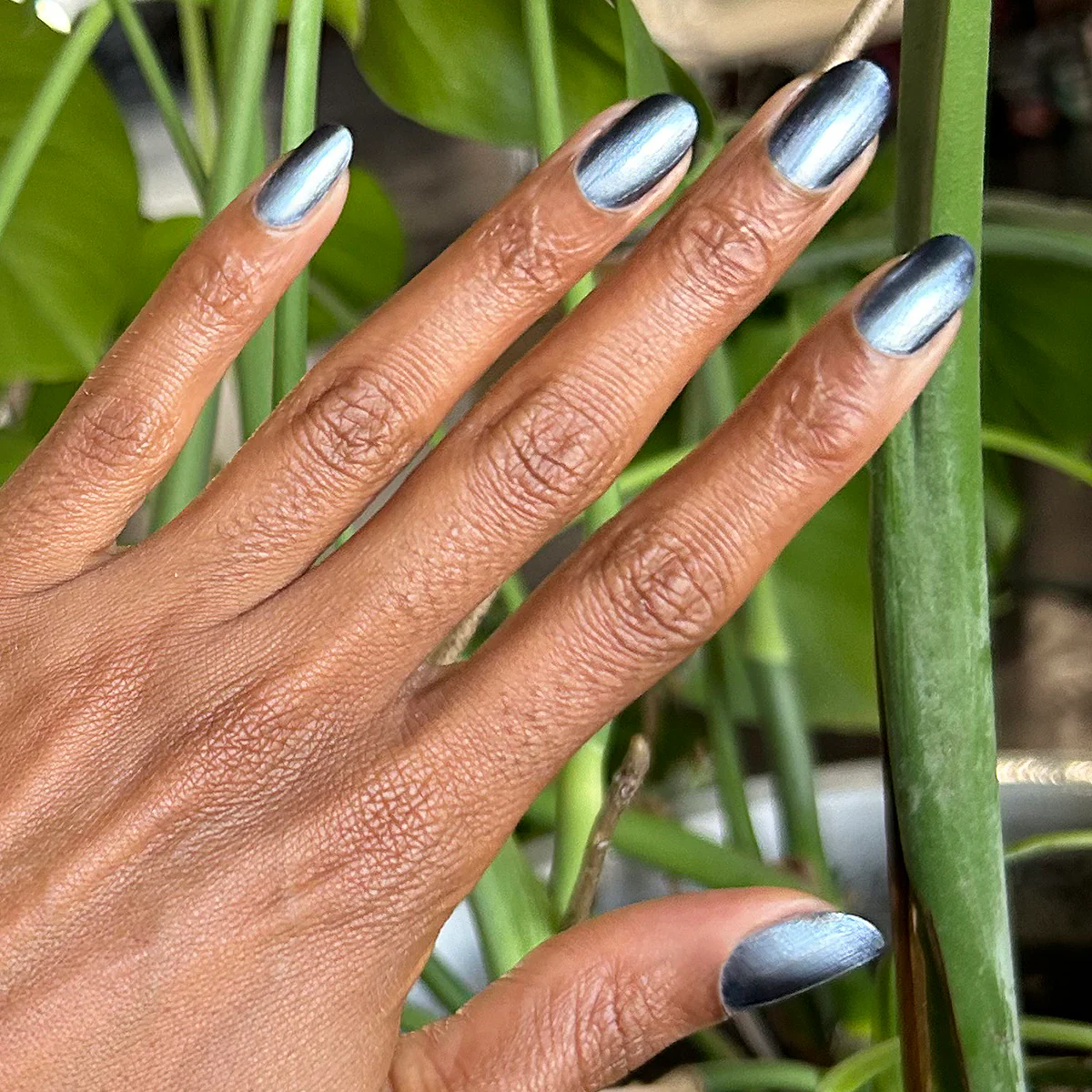 Sapphire Velvet - Image 5