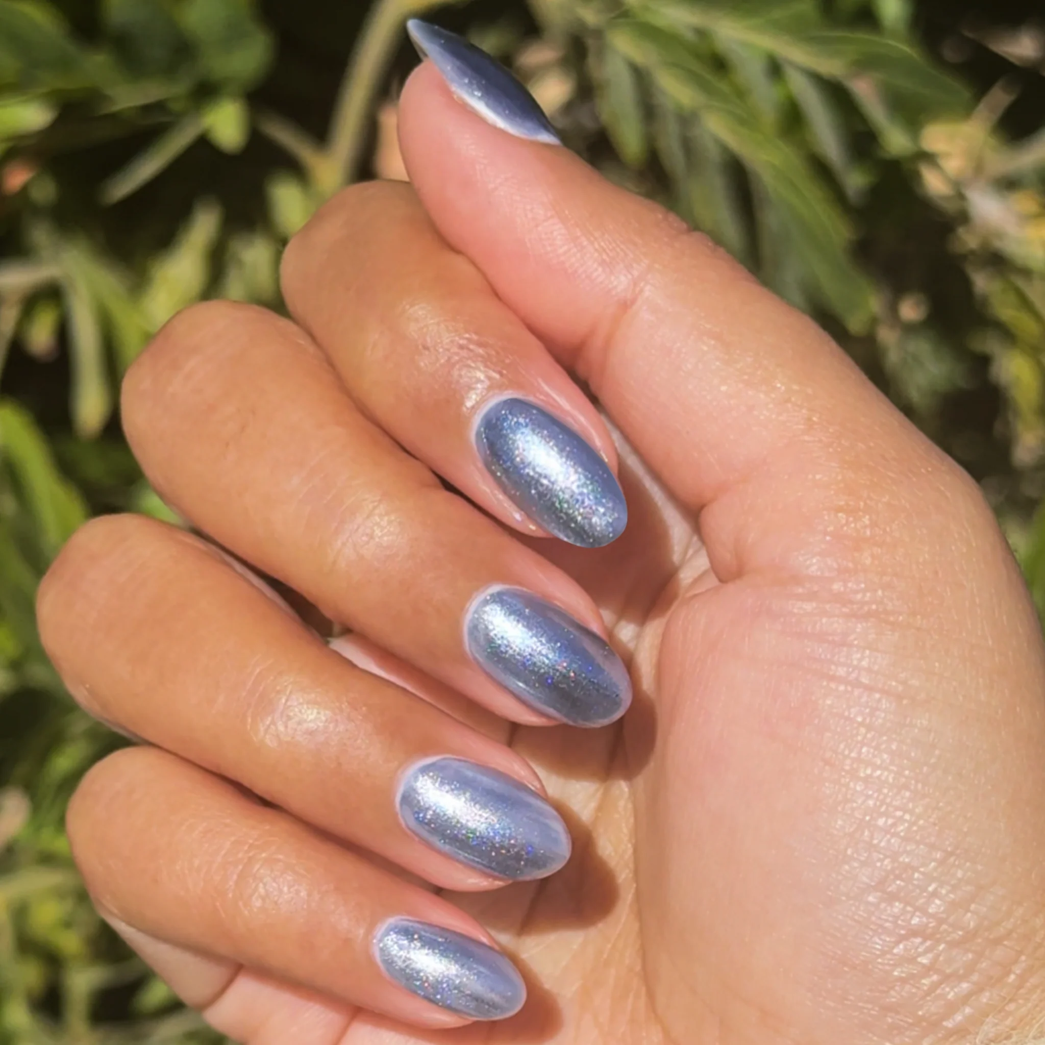 Sapphire Velvet - Image 7