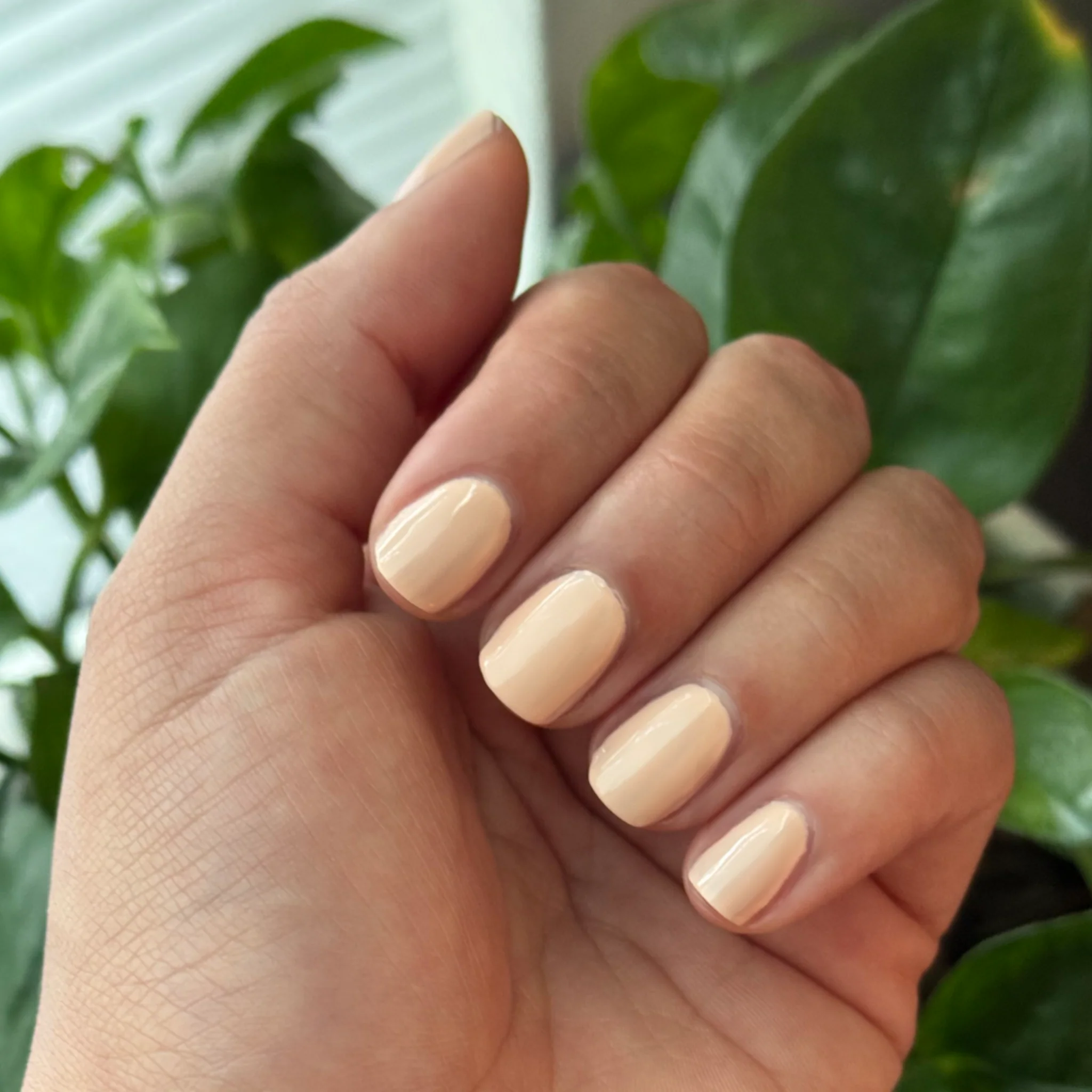 Silky - Image 10