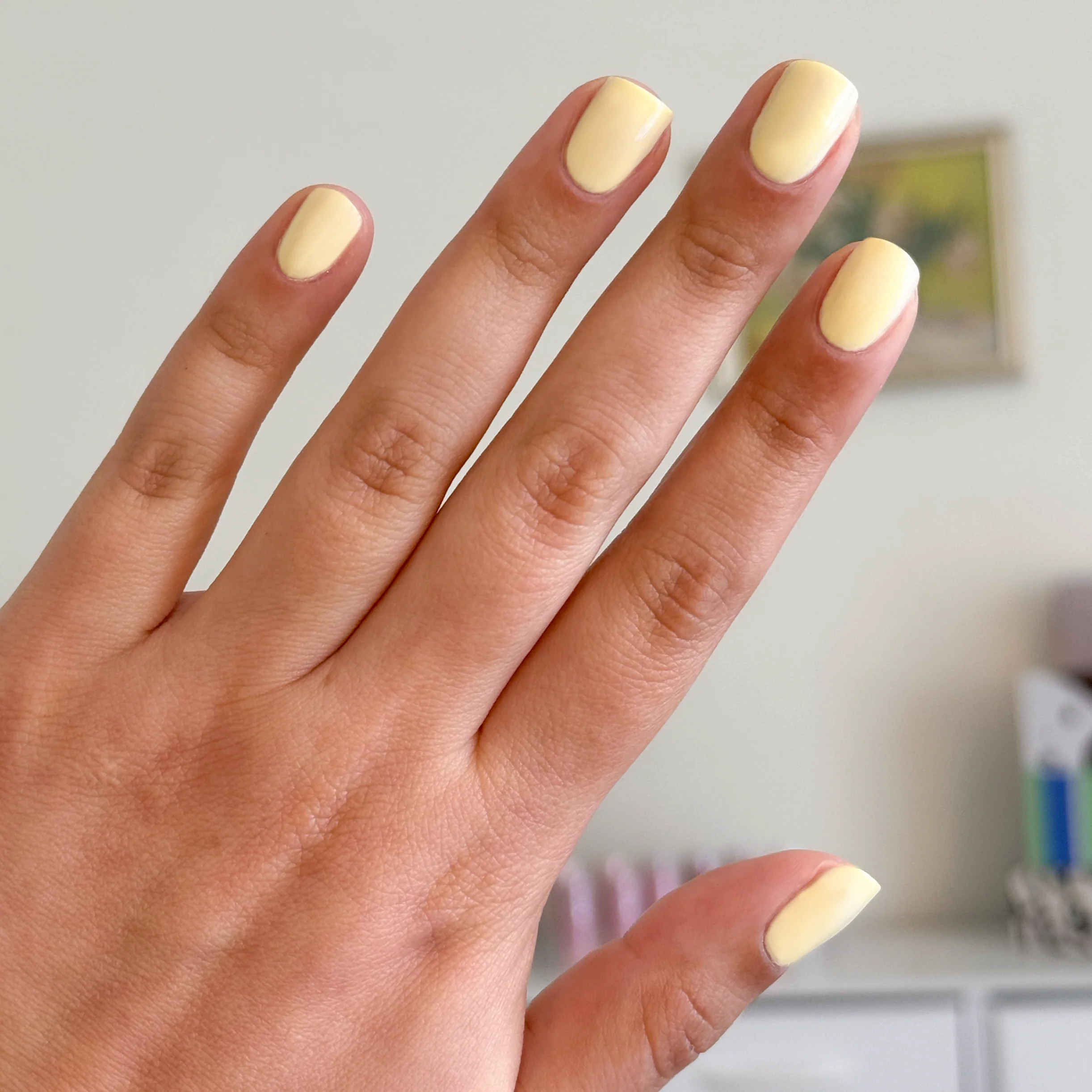 Spring 2026 Polish Set - Image 4