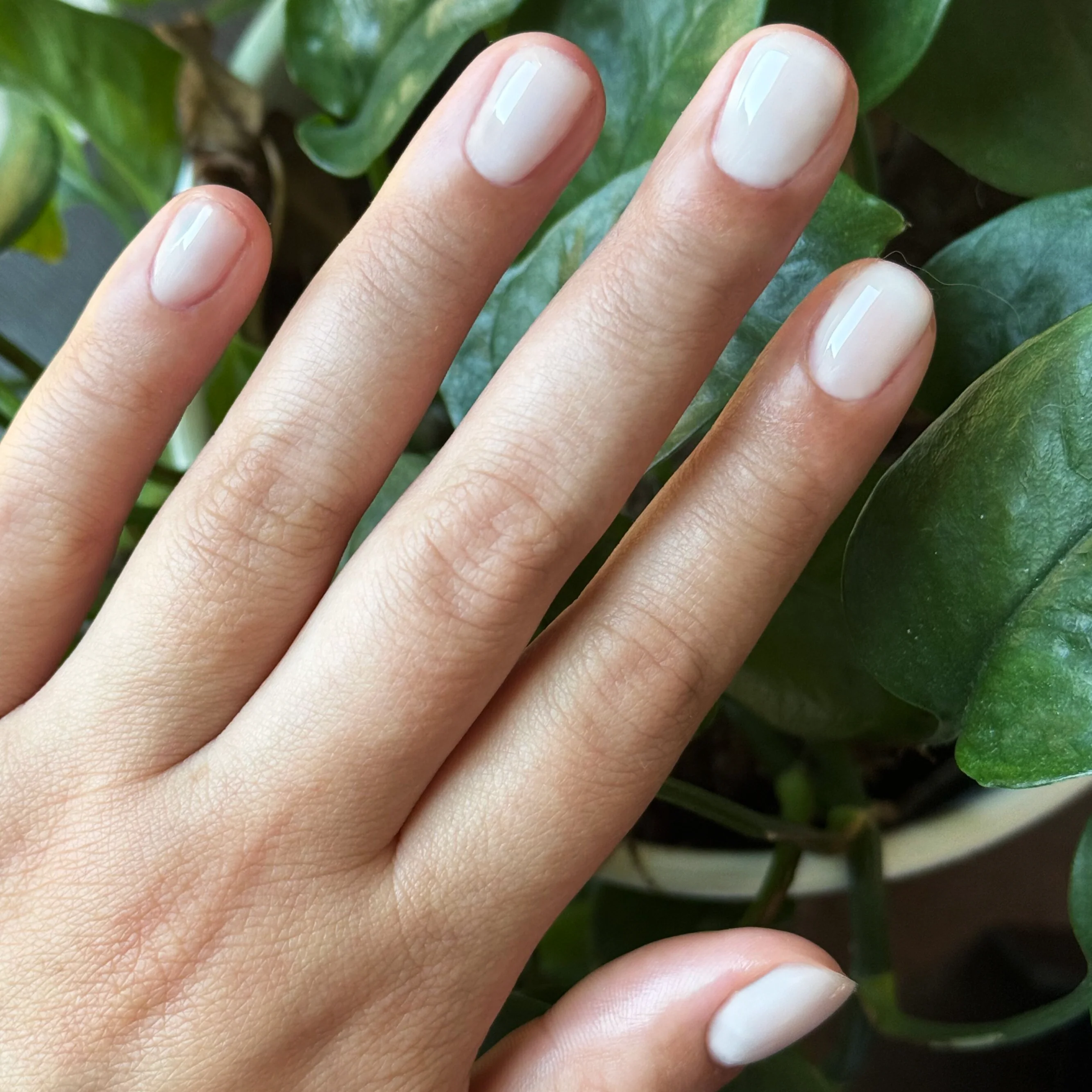 Sugar Glow - Builder Gel - Image 9