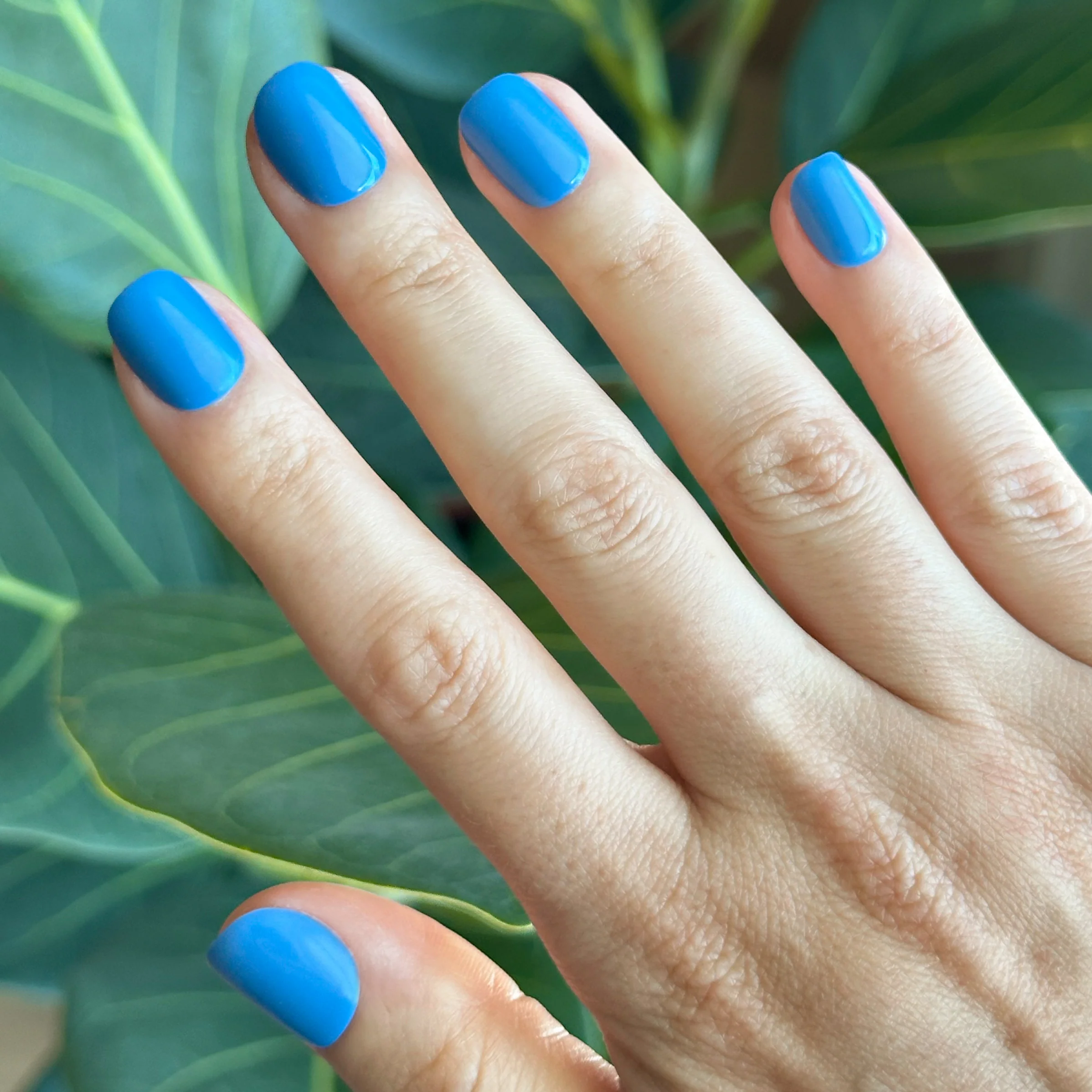 Summer Blue - Press-On | Extra Extra Short | Squoval - Image 3