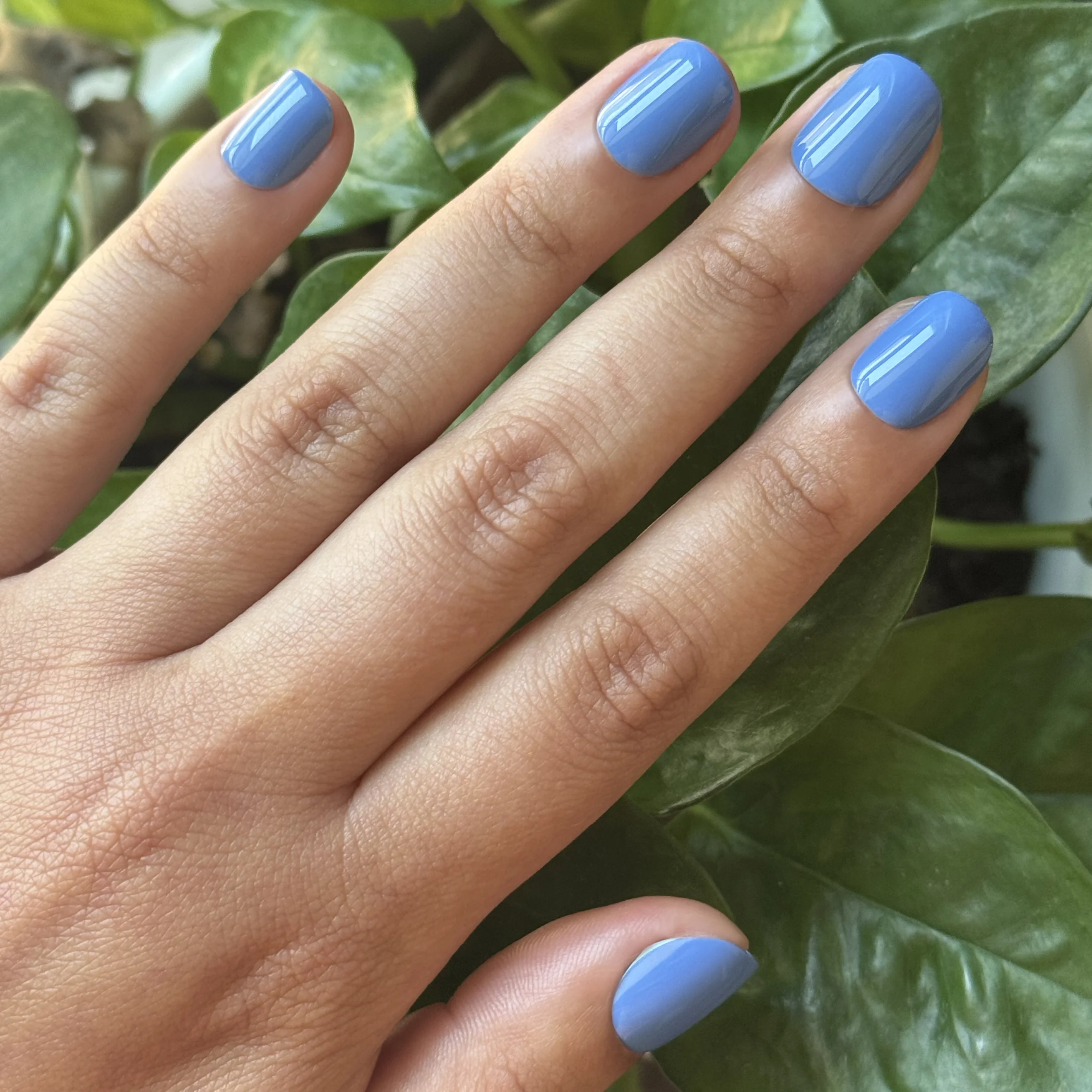 Summer Blue - Press-On | Extra Extra Short | Squoval - Image 5